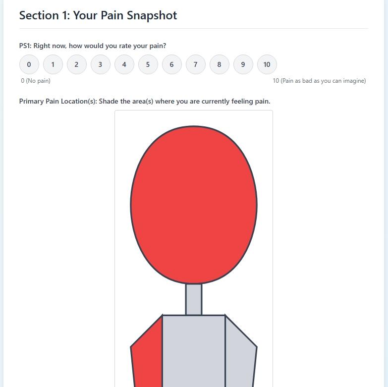 Beyond the Score: Introducing HPPAP, A Modern Tool for Holistic Pain Management cover image